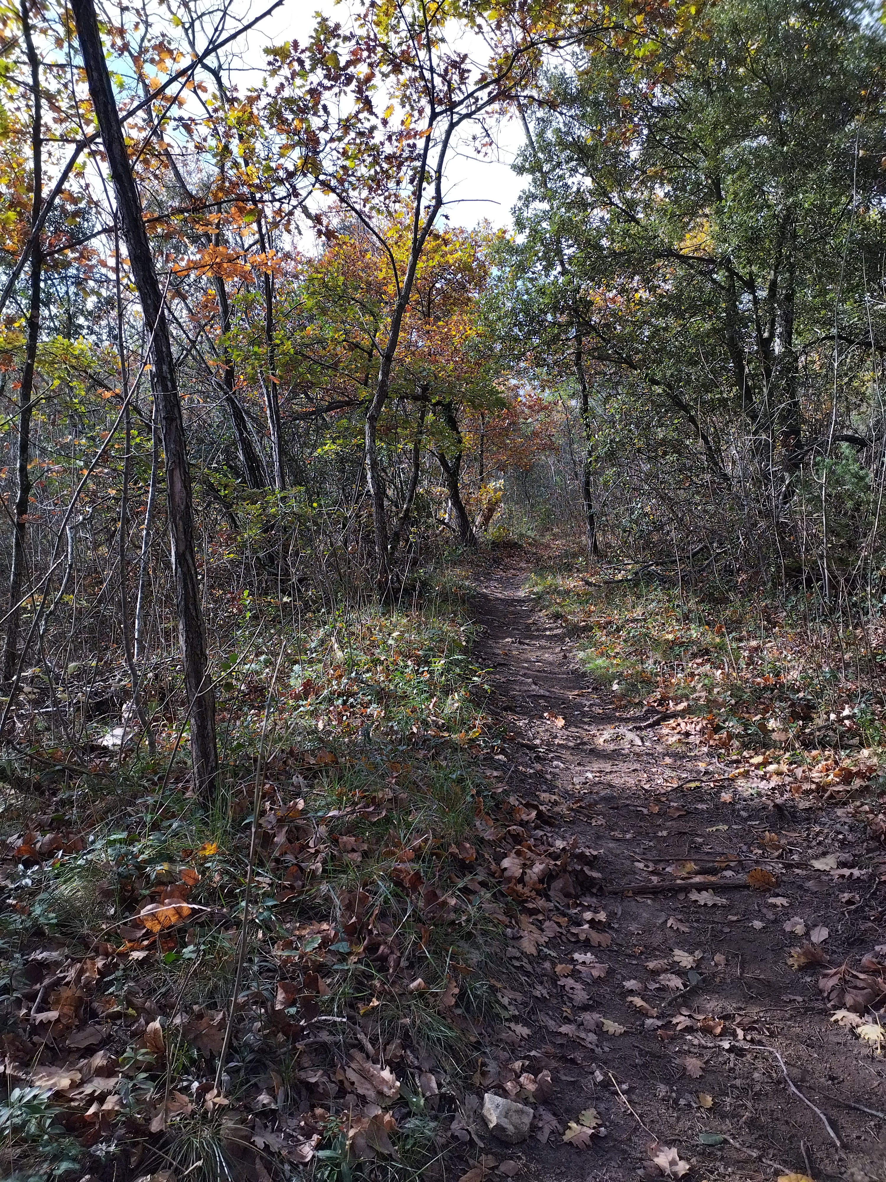 Trail de la Pierre Sanglante - 13 km - Sentier 1